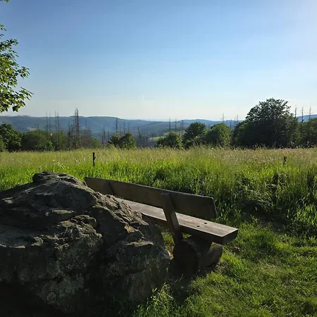Der Hochsitz *